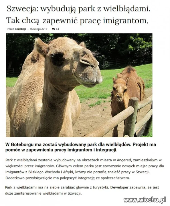 Szwedzka integracja ze zwierzętami