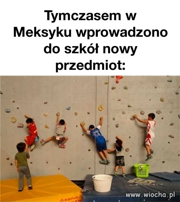Edukacja to podstawa