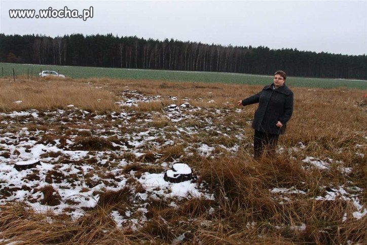 Sąsiad ukradł mi las.Co prawda za drewno dostał 27 tysięcy