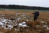 Sąsiad ukradł mi las.Co prawda za drewno dostał 27 tysięcy