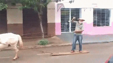 Ha ha ha...