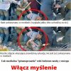 Włącz myślenie