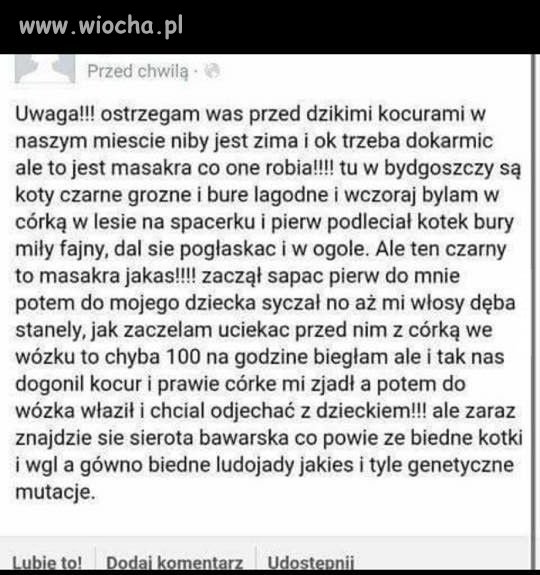 Ludojady