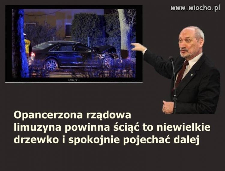 Trafnie to ujął