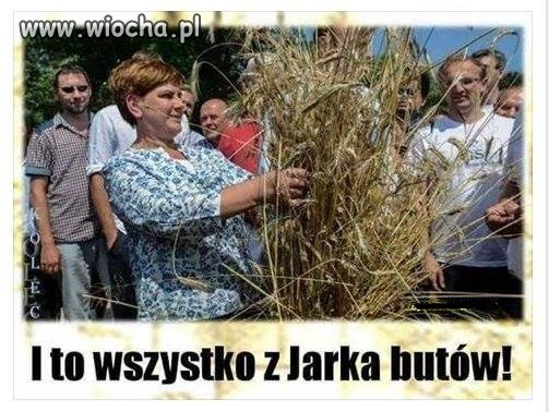 To wszystko