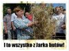 To wszystko