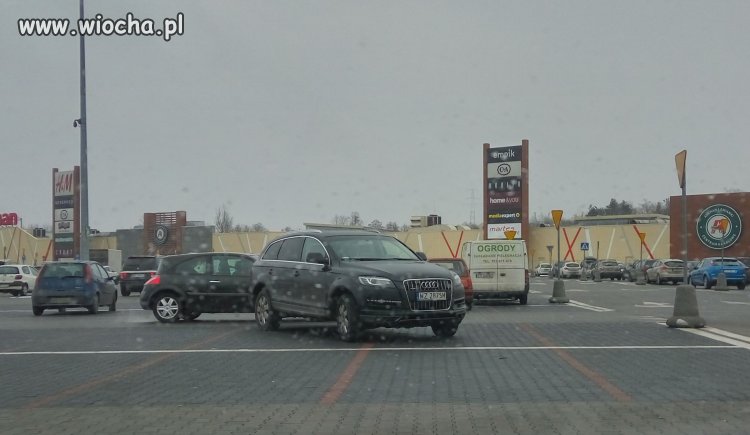 Mistrz parkowania