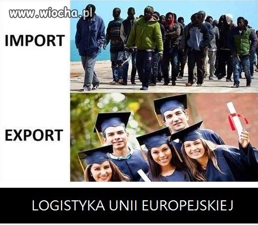 Polityka socjalistów