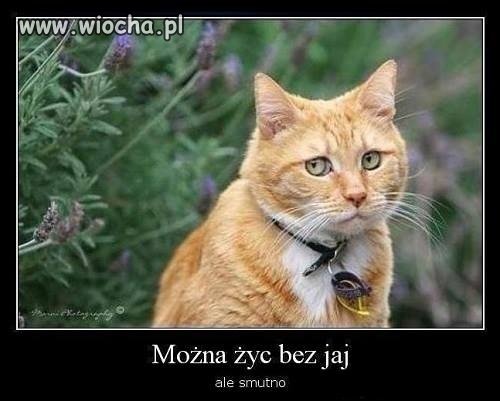 Można ,można