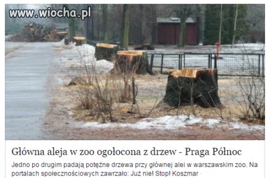 Oto co znaczy