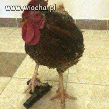 WTF.
