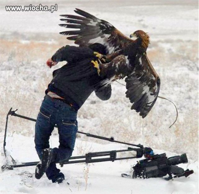 Ja ci kur.. dam filmowanie