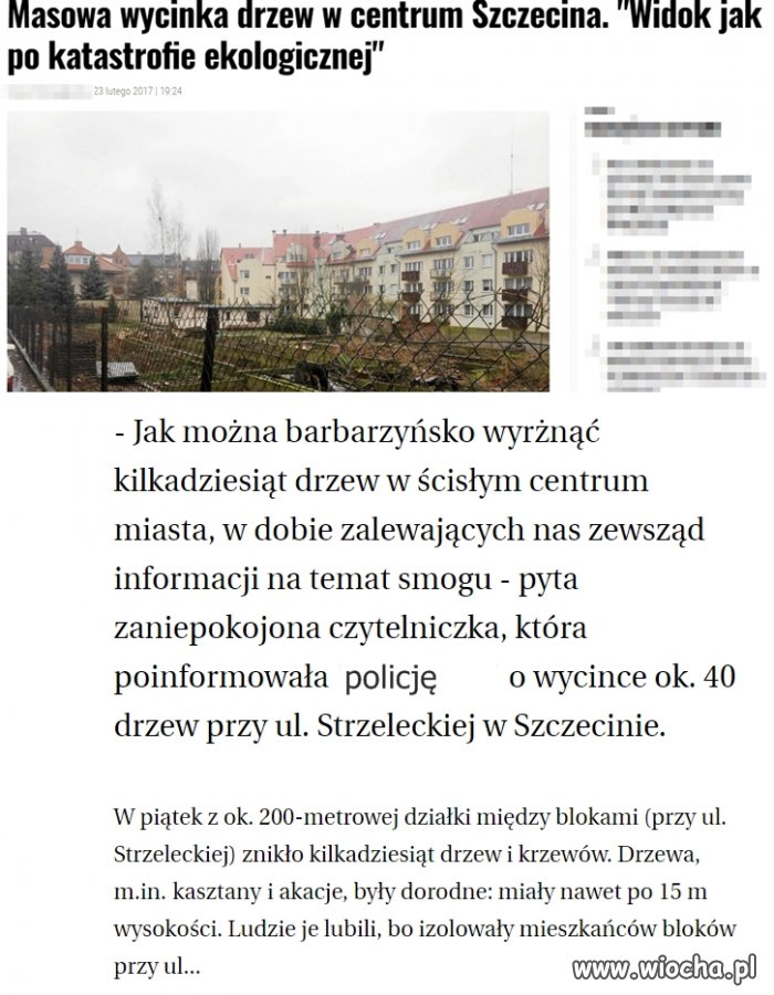 Im już park nie będzie
