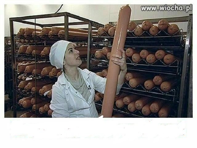 Oj Krysia, Krysia...