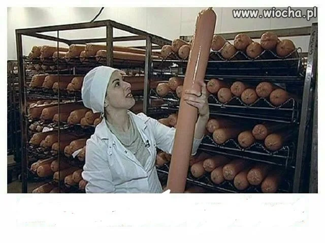 Oj Krysia, Krysia...