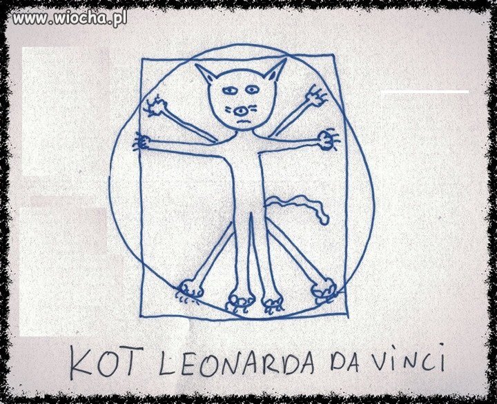 Kot vitruwiański