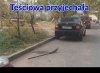 Teściowa przyjechała