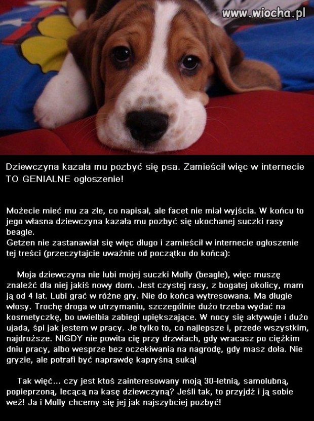 Wiocha dla kobiety, brawa dla faceta...