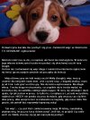 Wiocha dla kobiety, brawa dla faceta...