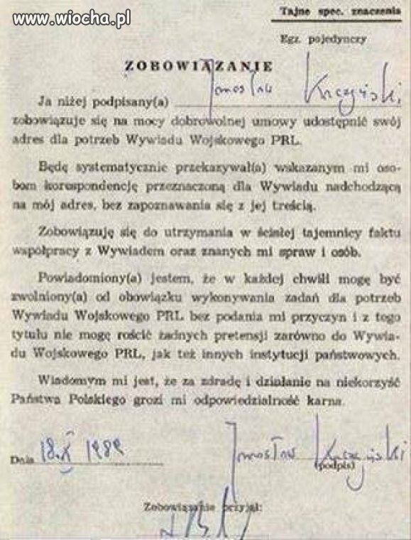 Stonoga opublikował 