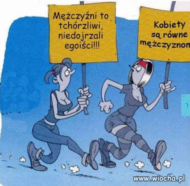 Logika feministek.