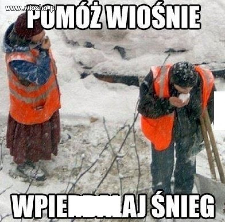 Drogowcy dzielnie walczą ze śniegiem