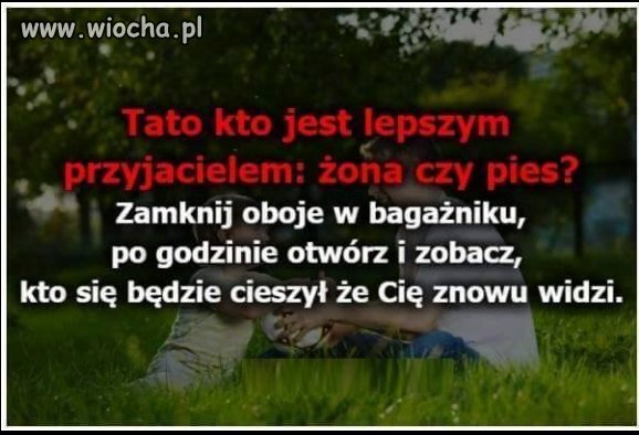 Porównanie 