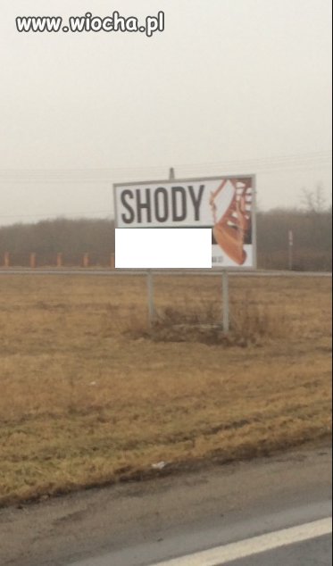 Shody 