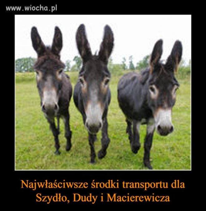Powinni brać przykład ze swojego idola