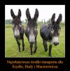 Powinni brać przykład ze swojego idola