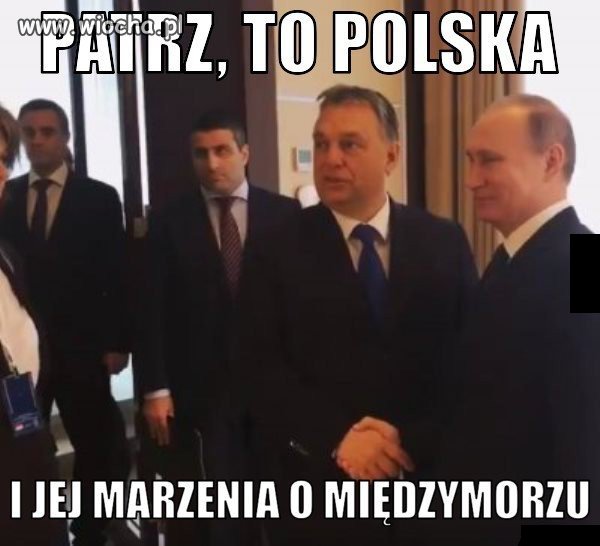 I tak zrobili kaczora w ch... 