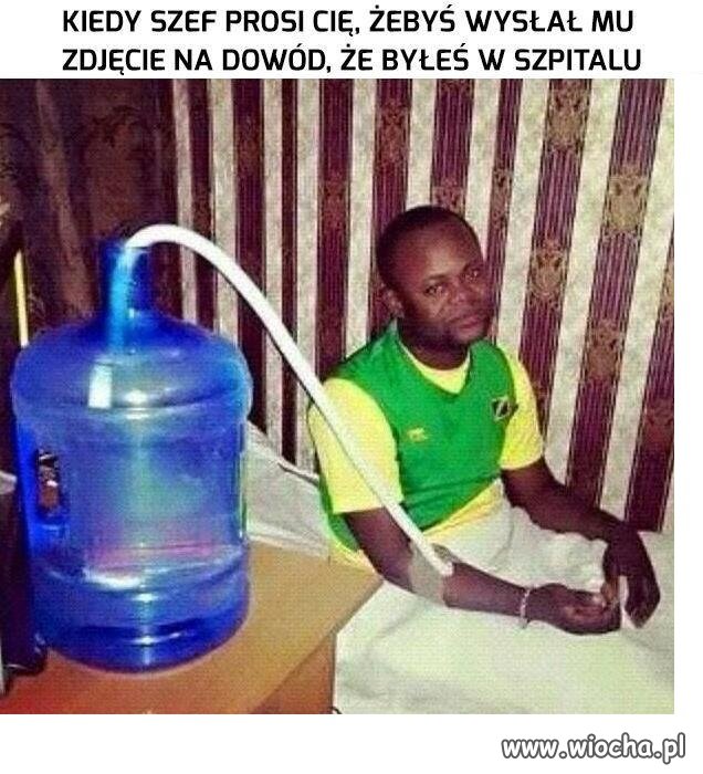 Całkiem wiarygodne