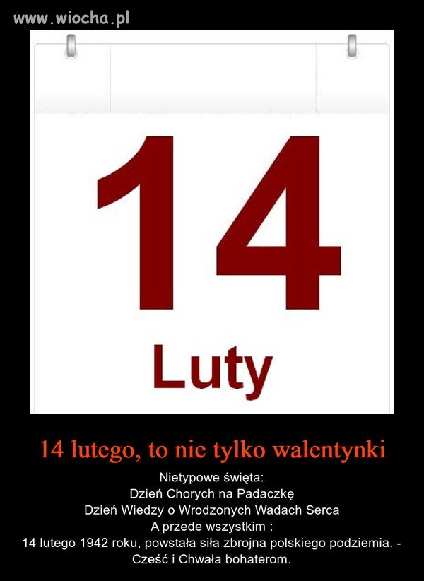 A wszędzie tylko Walentynki