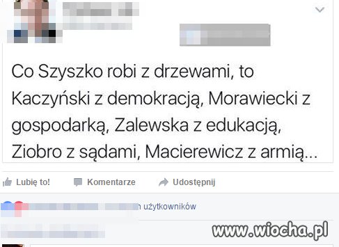 Pisiorki i dajcie sobie to powiedzieć