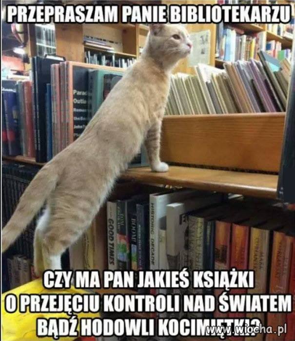 Prezes wysłał kota do biblioteki