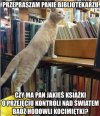 Prezes wysłał kota do biblioteki