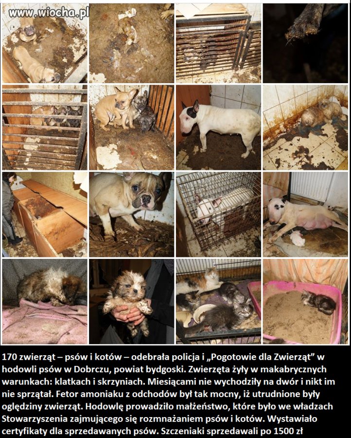 To się w głowie nie mieści