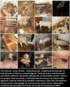 To się w głowie nie mieści
