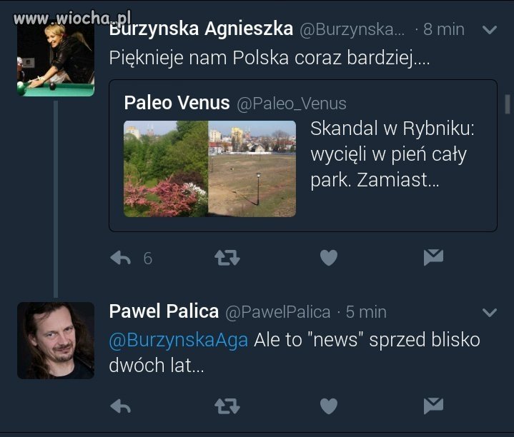 Efekt Szyszko