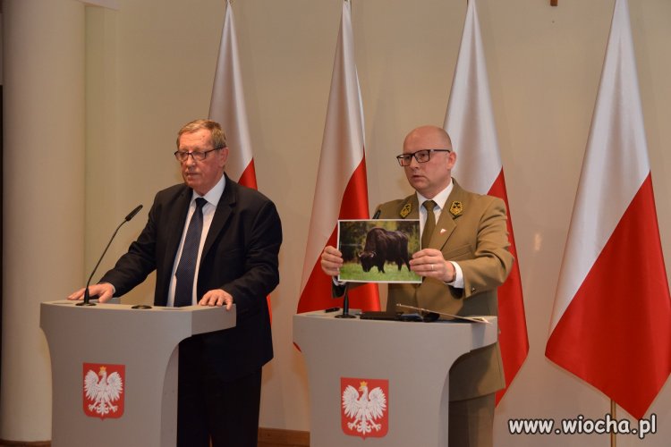 Bezczelność level hard