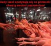 Piękne paznokcie