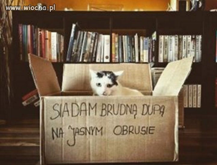 A za karę to do pudła. 