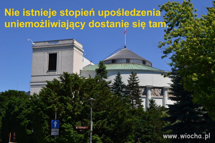 SEJM