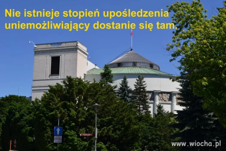SEJM