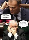 A co szeregowy poseł może zrobić? 