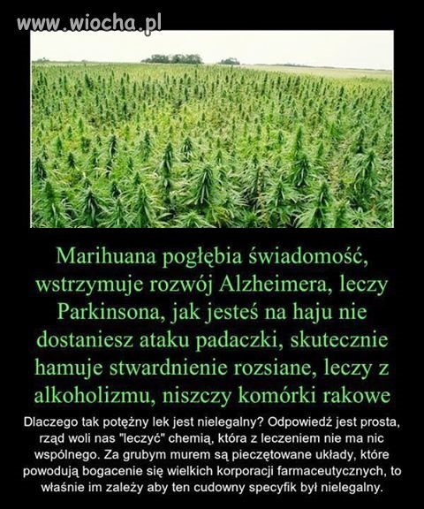 Dodałbym do tego jeszcze takich pseudolekarzy