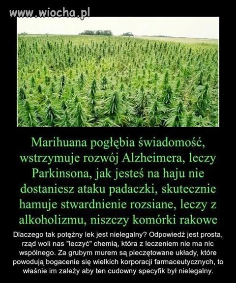 Dodałbym do tego jeszcze takich pseudolekarzy