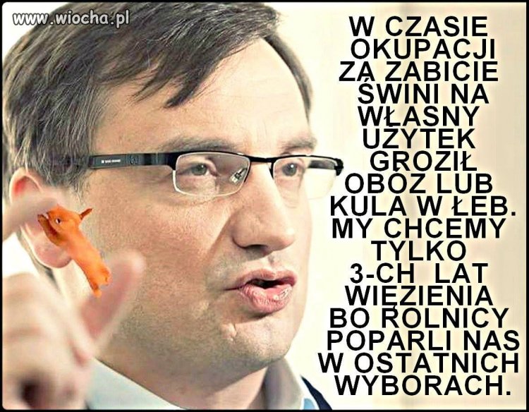 Tytuł dla was