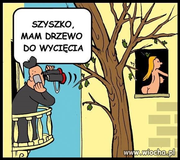 Księdzu katechecie drzewa zasłaniały widok z okien