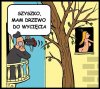 Księdzu katechecie drzewa zasłaniały widok z okien